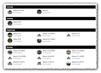 Lag siden - ditt lag egen side